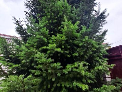 дом по адресу Провулок Дослідний