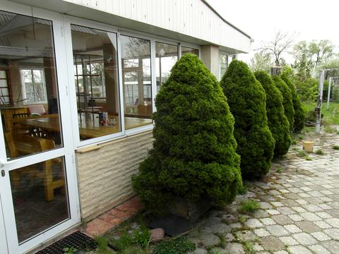 будинок за адресою Довга, 50