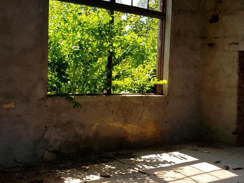комерційна за адресою Захисників України вул. (Пушкіна), 26