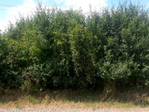 участок по адресу Героїв 128-ї Бригади ул. (8 Березня)
