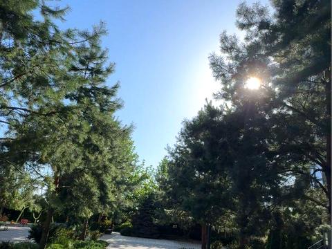 квартира по адресу Камянская ул. (Днепродзержинская), 6