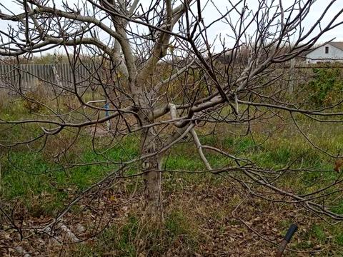 будинок за адресою біліченко, 9