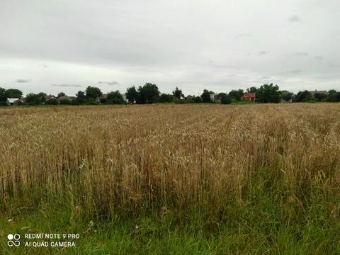 участок по адресу Незалежності