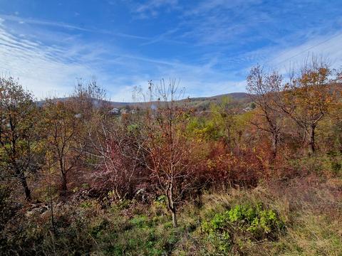 будинок за адресою с. Анталовці, Борканюка