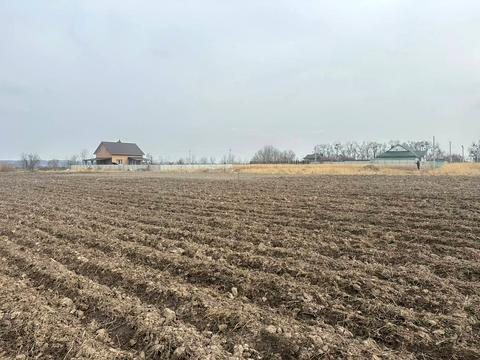 ділянка за адресою с. Лісові Гринівці, 