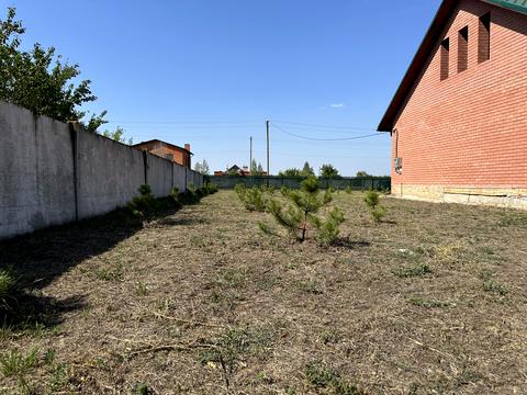 дом по адресу с. Песчанка, Новая, 41