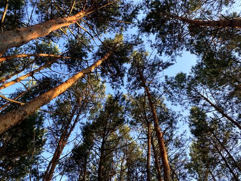 будинок за адресою Садова вул.