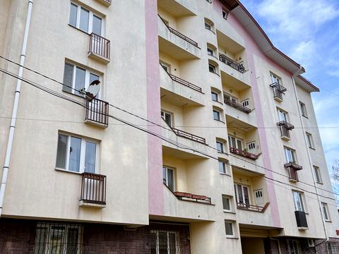 квартира за адресою Кутова вул., 5