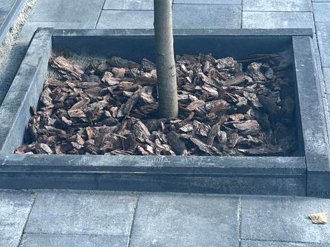 будинок за адресою Миру