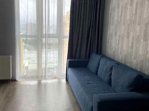 квартира за адресою Сім'ї Кульженків вул. (Петра Дегтяренка), 37