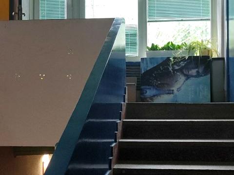 комерційна за адресою Митрополита Андрея Шептицького вул. (Анатолія Луначарського), 22А