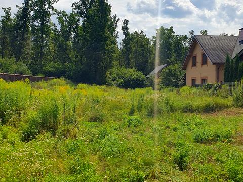 участок по адресу Грибна