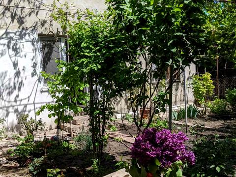 будинок за адресою Анатолія Бачинського вул.