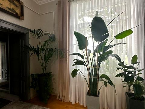 квартира за адресою центр, 10