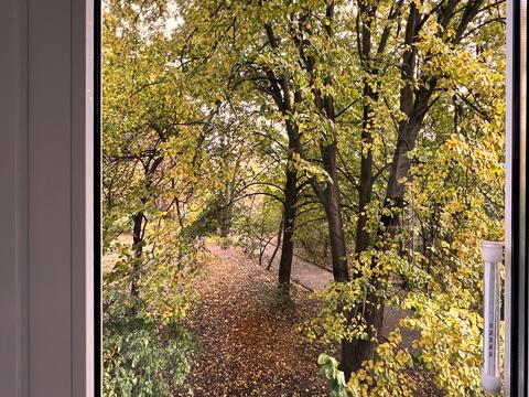 квартира за адресою Лаврська вул. (Січневого Повстання), 4-В