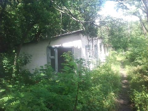 комерційна за адресою Шевченка вул., 43а