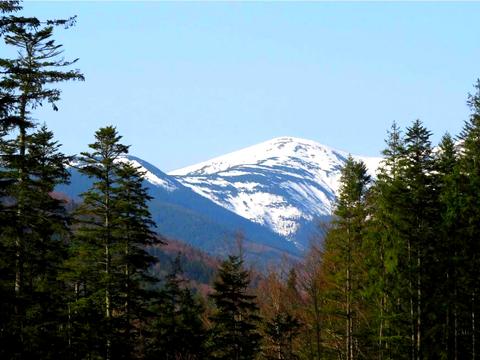 ділянка за адресою с. Стара Гута, 