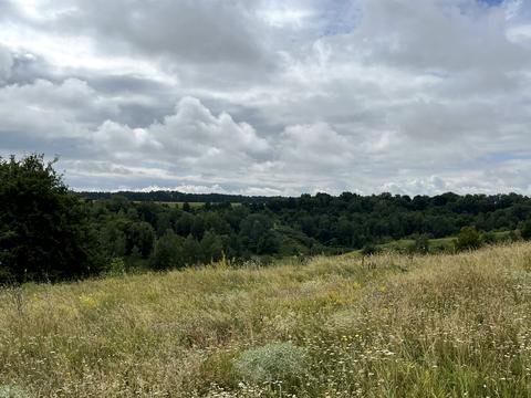 участок по адресу Миру