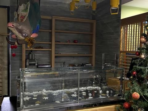 коммерческая по адресу Кооперативная ул., 6/8