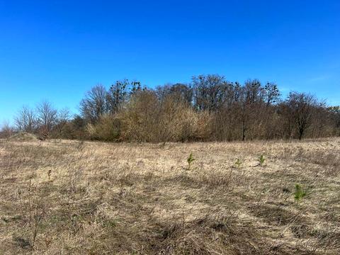 ділянка за адресою вул. Василькова, 2