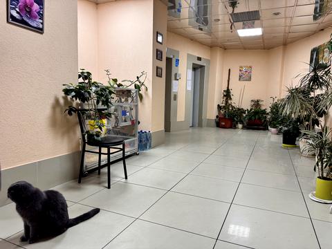 квартира по адресу Евгения Коновальца ул. (Щорса), 32-Б