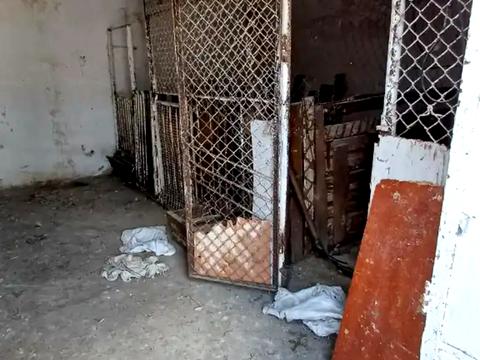 будинок за адресою с. Кам'янка, Опанаса Ковпака