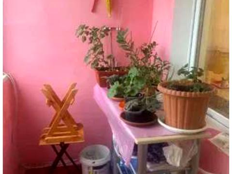 квартира по адресу Радунская ул., 11