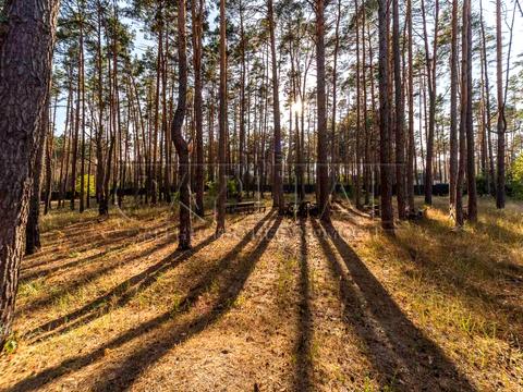 дом по адресу Шевченко ул.