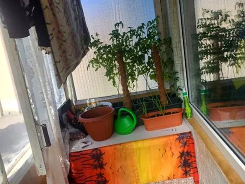 квартира за адресою Михайла Донця вул., 13-А