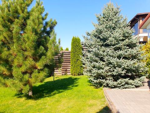 будинок за адресою с. Новоолександрівка, Шевченка вул.