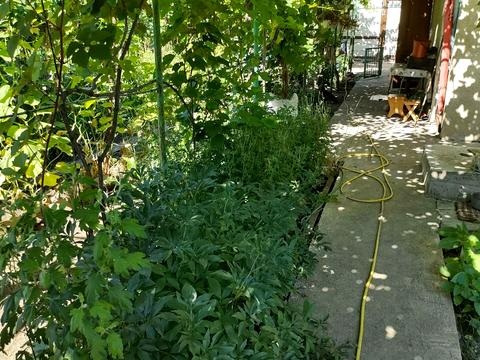 будинок за адресою Академіка Гаркавого вул. (Житомирська)