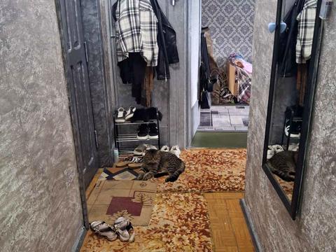 квартира по адресу Молодіжна ул., 3