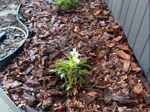 дом по адресу Рыбачья ул.