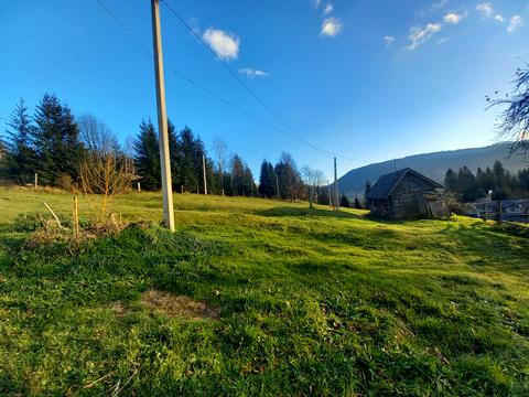 участок по адресу пгт. Верховина, вул. Невестюка