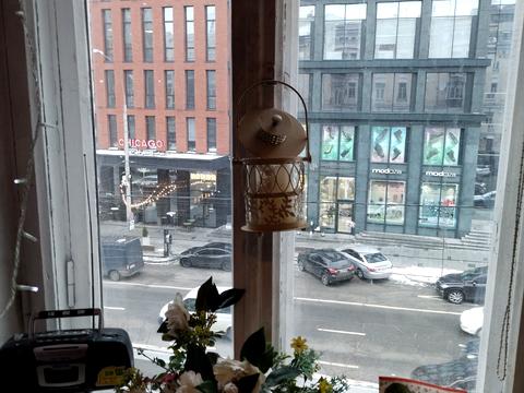 квартира по адресу Антоновича ул. (Горького), 37/13