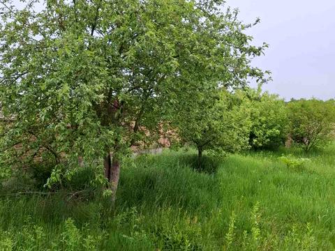 будинок за адресою Вербова