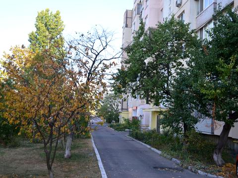 квартира за адресою Героїв Дніпра вул., 62