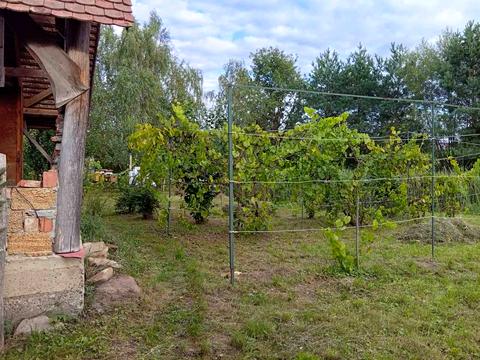 дом по адресу с. Глиница, Ясний, 5