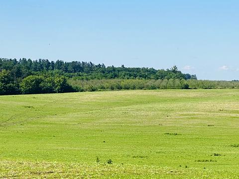 участок по адресу Балістична