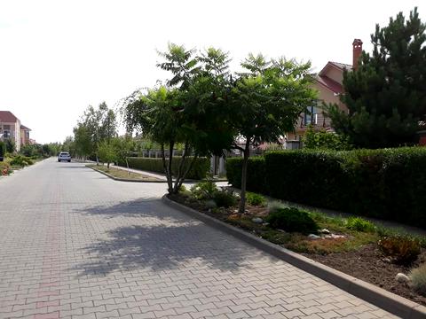 будинок за адресою Коралова вул.