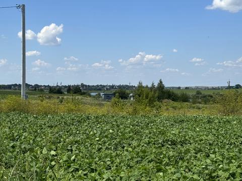 ділянка за адресою 