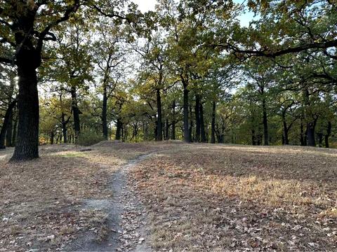 квартира за адресою Київ, Віктора Некрасова вул. (Північно-Сирецька), 12-А