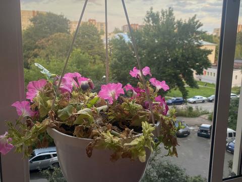 квартира за адресою Кульпарківська вул. (Кульпарківська), 145