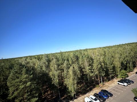 квартира по адресу Охотничья ул., 3-Б