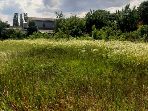 ділянка за адресою Петра Дорошенка вул. (Пацаєва)