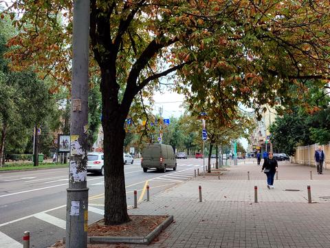комерційна за адресою Лесі Українки бульв., 20/22