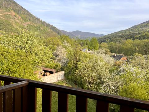 дом по адресу Гагарина, 62