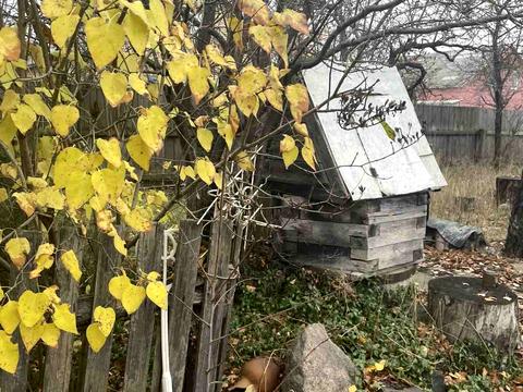 участок по адресу Шевченка, 50