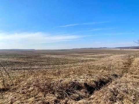 ділянка за адресою с. Лісові Гринівці, 