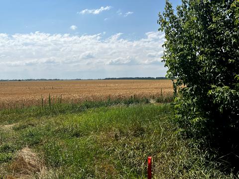 ділянка за адресою с. Гоголів, 